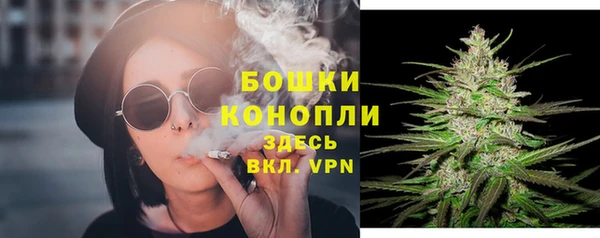 прущие крисы Новокубанск