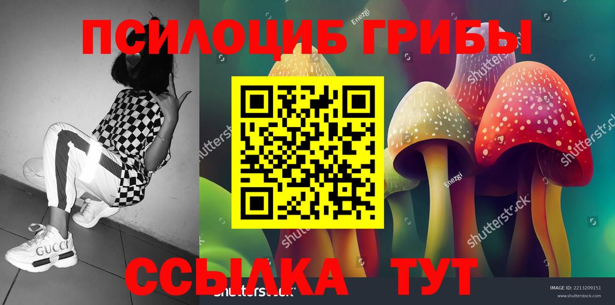 Псилоцибиновые грибы мицелий  наркота  Псилоцибиновые грибы Psilocybine cubensis  Азов  Вход с VPN 