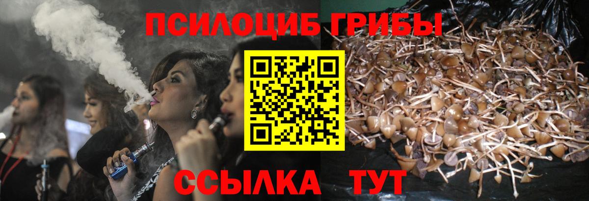 Псилоцибиновые грибы мухоморы Азов