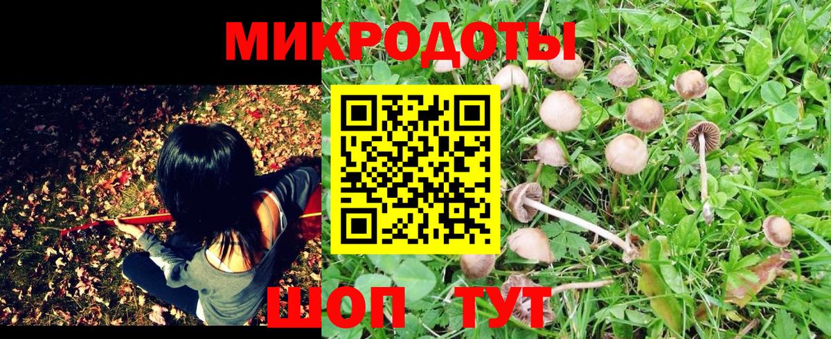 Галлюциногенные грибы Magic Shrooms Азов
